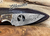 The Ultimate Skinning Knife for American Hunters - ZB Knives Store