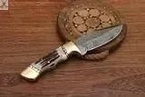 8" Inches HAND FORGED Full Tang Damascus Steel Skinning Knife+ Leather sheath - ZB Knives Store