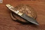Natural Sambar Stag Horn-Brass Hunting Skinning Knife - ZB Knives Store