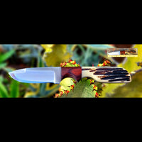 Blade Belt Knife Bone and Walnut Wood Handle (knife sheath)