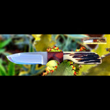 Blade Belt Knife Bone and Walnut Wood Handle (knife sheath)