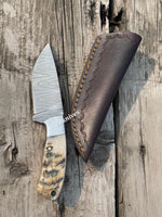 Damascus Steel Skinning Knife - Ram Horn Handle With Sheath - ZB Knives Store