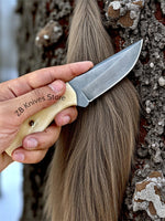 Deer Skin Best Knife – High Carbon Steel Blade With Camel Bone Handle - ZB Knives Store