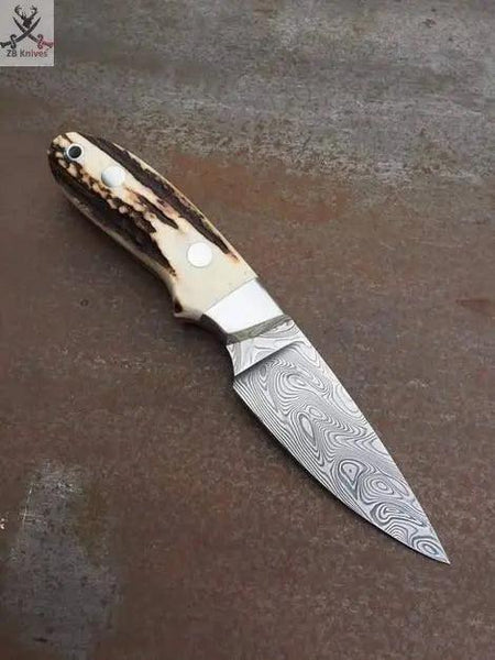 Western Belt Knife