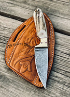 Belt Knife – 6.75" Damascus Steel Blade with Antler Horn Handle & Brass Bolster - ZB Knives Store