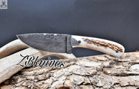 Best Big Game Skinning Knife