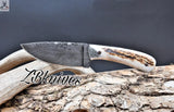 Best Big Game Skinning Knife
